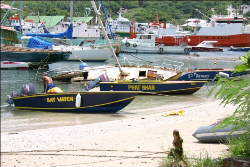 Turen ned til Trinidad