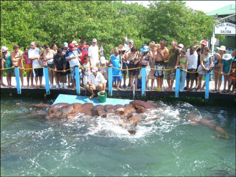 Cartagena 3