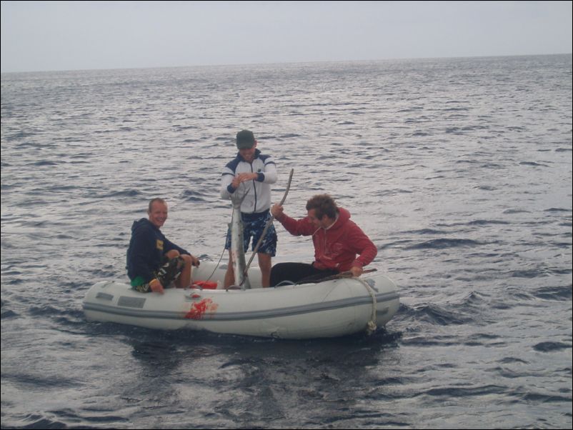 Cuba I