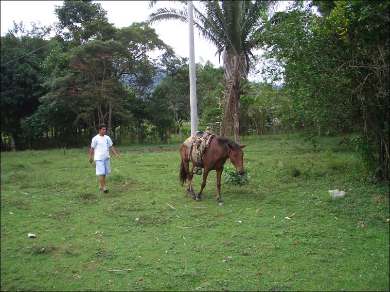 Guatemala