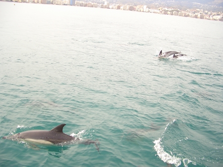 Seilkurs i Malaga
