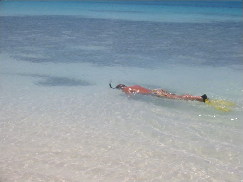 Seiltur til Aruba